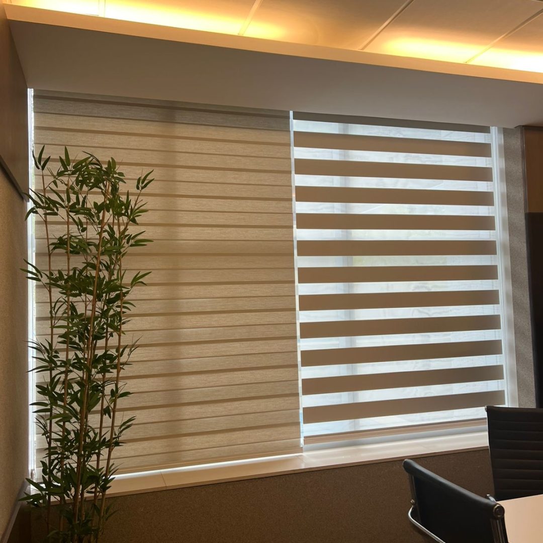 WhatsApp Image 2026-02-12 at 09.59.50 (3)